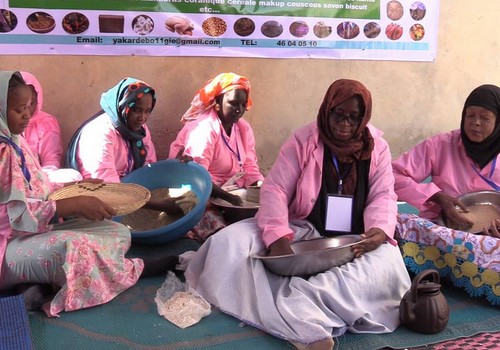 Vidéo. Mauritanie: avec des moyens dérisoires, des femmes luttent contre la précarité