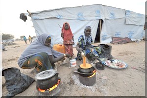 Kaedi: Absence de campagne agricole et menace d’insécurité alimentaire 