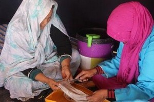 Mauritanie : ces femmes rurales devenues autonomes grâce au tannage