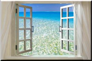 Fenêtre Sur: Medias et démocratie : une interdépendance