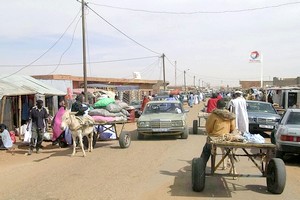 Mauritanie : début de campagne, on pense au mouton et non à la politique