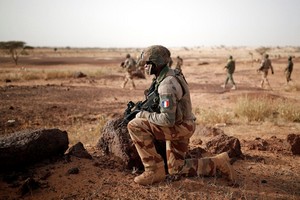Sahel: les blindés de la Légion étrangère prêts à bondir, les terroristes se renforcent-ils?