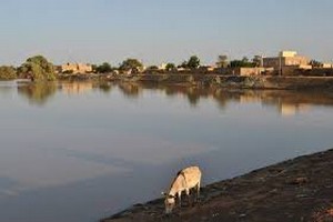 Covid-19 : grogne des Mauritaniens bloqués à la frontière avec le Sénégal