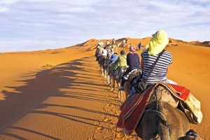 Global Peace Index : Le Maroc, le pays le plus pacifique du Maghreb