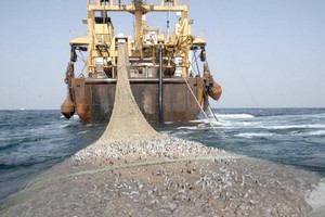 Pêche: des ONG accusent l'Italie de fermer les yeux sur le pillage des côtes ouest-africaines