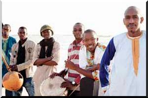 Focus sur... Walfadjiri en concert  - Jeudi 30 Janvier 2014 à 20h