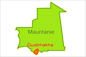 Des produits avariés tuent des animaux de la localité de Dangarimou au Guidimakha