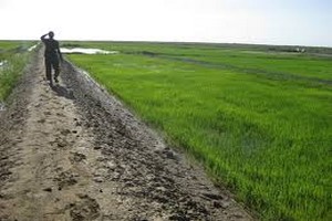 Mauritanie : 10859 hectares ont été aménagés dans les zones irrigués (ministre du développement durable)