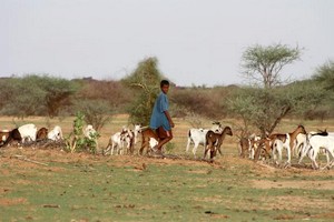 Le monde rural en grand danger…