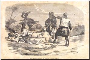 Le langage d'autorité politique et ses traductions en Mauritanie précoloniale rois, chefs et émirs dans la Gibla du XIXE siècle (6)