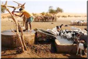 Mémoire nationale mauritanienne : guerre civile et conquête coloniale au sénégal.(8)…