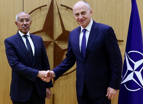 Mauritanie et l'OTAN : entre transformations de la stratégie internationale et scénarios d'avenir