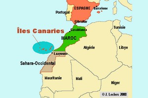 Mauritanie : rapatriement de 46 migrants illégaux vers leurs pays respectifs