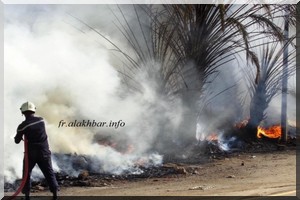 Nouakchott: un incendie ravage les potagers du quartier 