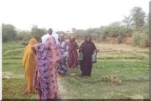 Kaédi : campagne agricole, mobilisation autour des remboursements