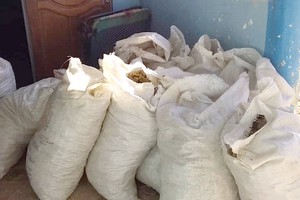 Vidéo. Kobeni: la police saisit une grosse quantité de drogue