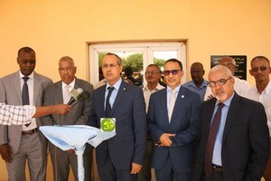 Mauritanie : lancement d’une force africaine contre le criquet pèlerin