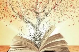 Les jeunes mauritaniens ne s’intéressent pas à la lecture, aux livres… Faux!