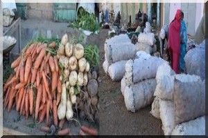 Excellence Aziz, sauvez nos 2000 tonnes de légumes