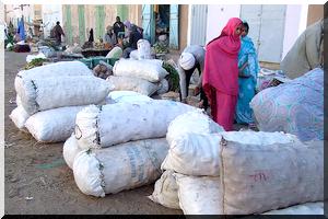 Accord garantissant l'achat par Nouakchott des légumes de l'Adrar