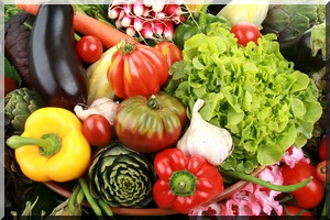 Création d'une commission régionale pour la commercialisation des légumes dans la wilaya du Brakna