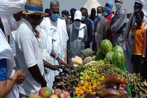 Le marché de légumes de Nouakchott approvisionné depuis l’intérieur du pays
