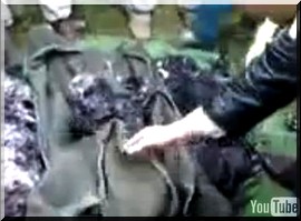 Libye : l'insurrection gagne Tripoli, Kadhafi en sursis [VIDEOS]