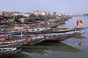 Lenteur dans le renouvellement des licences de pêche en Mauritanie : 8.000 pêcheurs de Saint-Louis sont à quai
