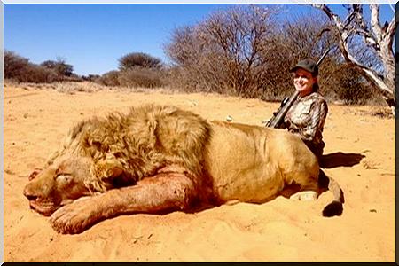 acharnement contre les animaux