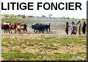 Litige foncier de Sagné (Gorgol) : Le hakem de Maghama limogé, les détenus à la prison de Kaédi ...