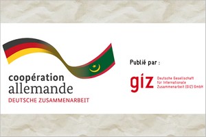Communiqué de Presse : La GIZ et le MEFPTIC honorent les élèves en formation alternée au lycée de Boghé