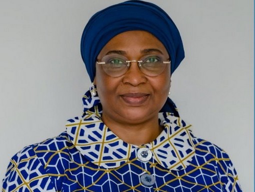 OIF : la Candidature de la Mauritanie dans les starting-blocks