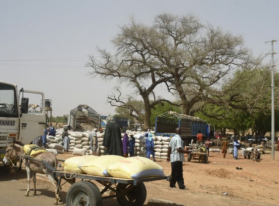 Le Mali annonce la libération de quatre Marocains enlevés au Sahel en janvier