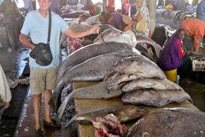 Mauritanie: pénurie et renchérissement du poisson après le départ de 3.000 pécheurs sénégalais