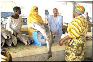 Mauritania Akhbar, ce n’est rien d’autre que les Nouvelles de Mauritanie. 