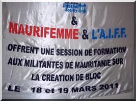Journée Internationale de la Femme Francophone, formation 'genre' à la création / gestion de blog