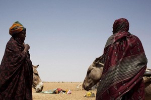 En Mauritanie, pays islamique, des divorces en cascade