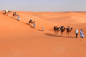 Vidéo. De Chinguetti au fleuve Sénégal, à la découverte de la Mauritanie dans