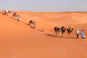 Vidéo. De Chinguetti au fleuve Sénégal, à la découverte de la Mauritanie dans 