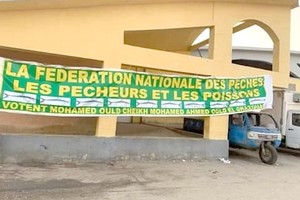 Mauritanie: en attendant le vote des poissons