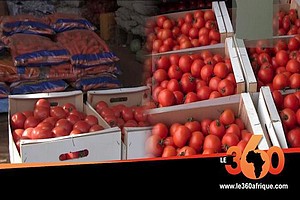 Vidéo. Nouakchott: le marché des fruits et légumes retrouve ses couleurs