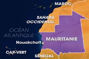 Dix migrants illégaux interceptés en Mauritanie