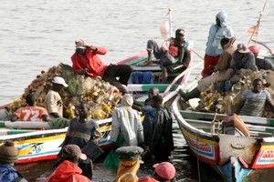 La Mauritanie rapatrie 12 mille pêcheurs sénégalais