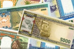 Mauritanie : 8,8 milliards F CFA de bons du trésor vendus
