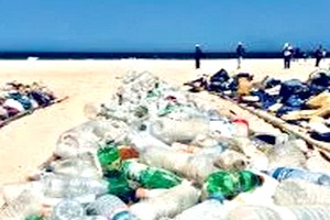 Journée mondiale de l’océan: La pollution plastique cause de dommages considérables à nos ressources marines