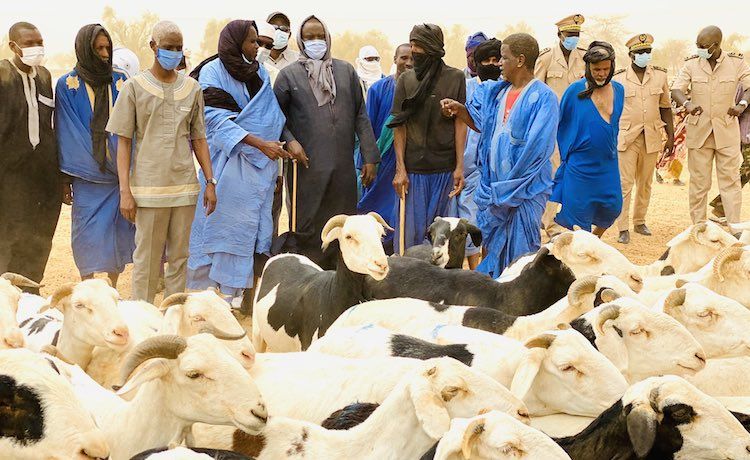 Moutons de Tabaski : suite aux sanctions contre le Mali, les éleveurs mauritaniens fourniront le Sénégal