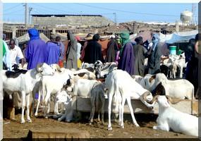 La Tabaski sera célébrée vendredi en Mauritanie 