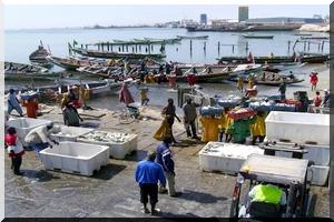 Les pêcheurs du port artisanal manifestent pour réclamer le poulpe