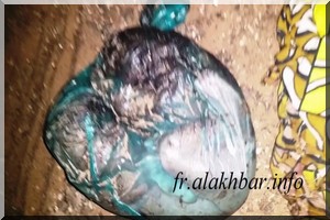 Socogim K: un nouveau né découvert mort dans un sachet plastique