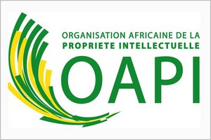 Communiqué de presse :  Appel à candidatures pour la 8éme édition du SAIIT, Brazzaville-2020